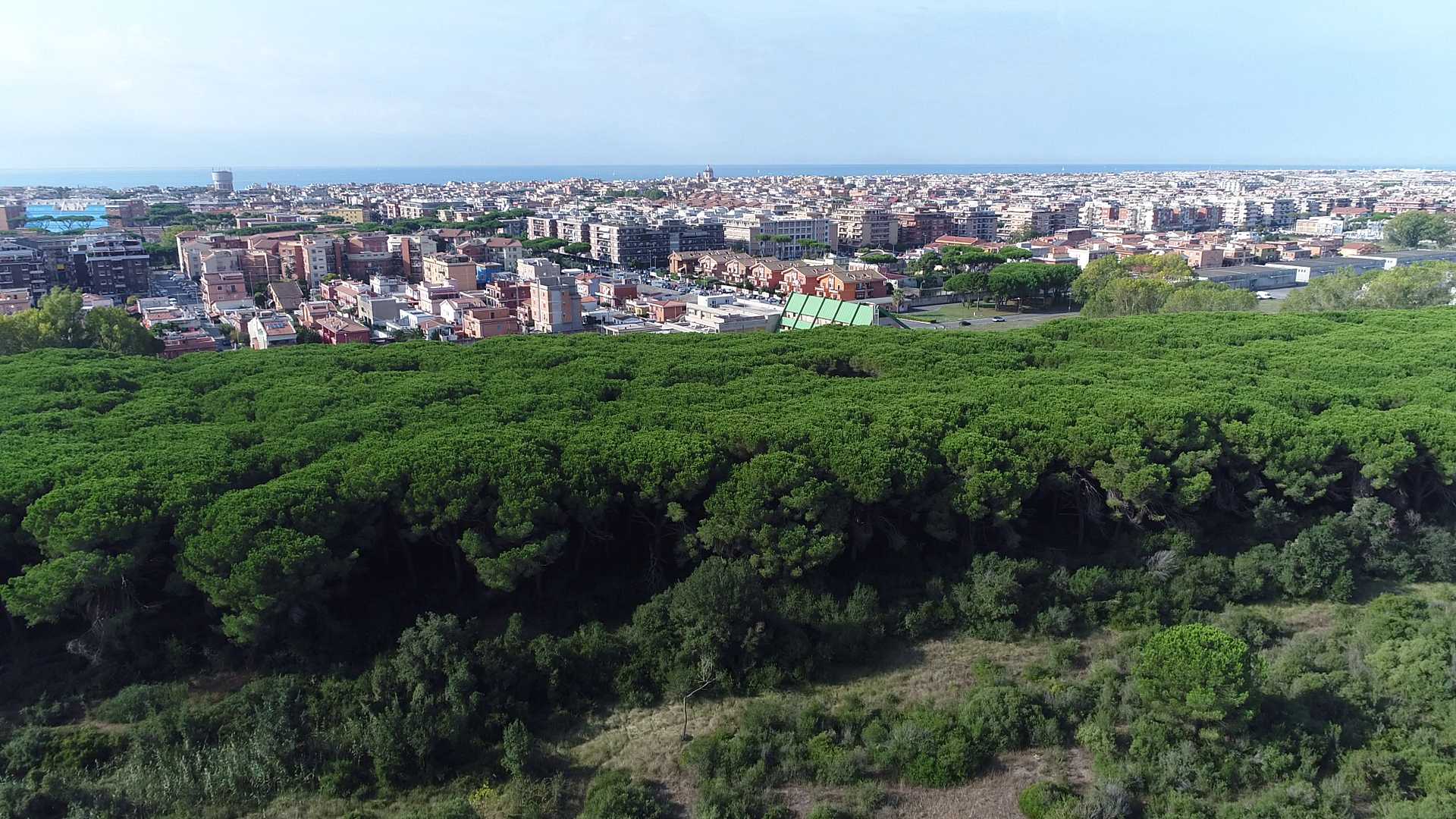 La tenuta di Procoio vista dal drone: tanta natura da difendere